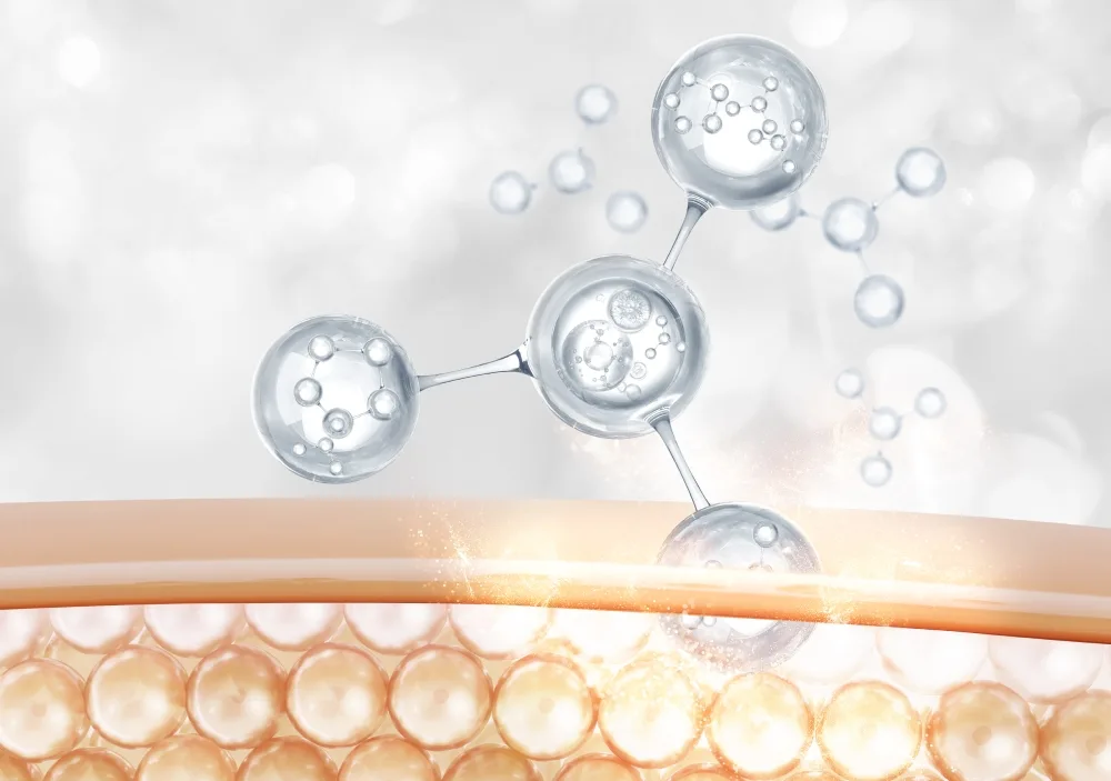 What Are Exosomes?