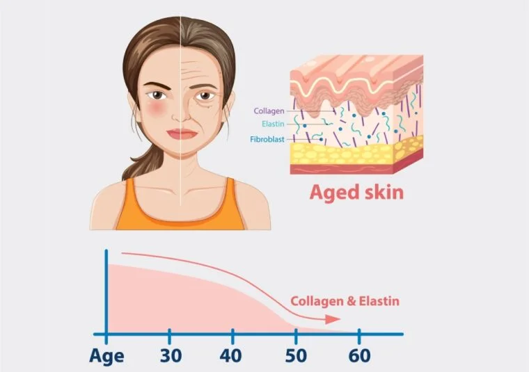 Slower Skin repair